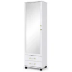 Mirrored Shoe Cabinet